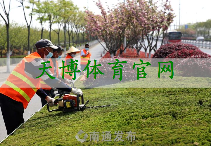 江岸区绿色城市绿化工程概念设计