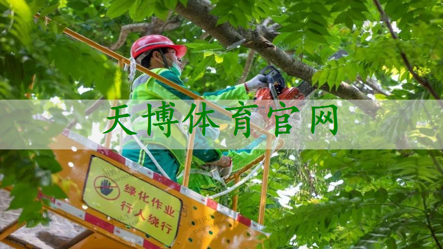 普陀区草坪绿化工程费用